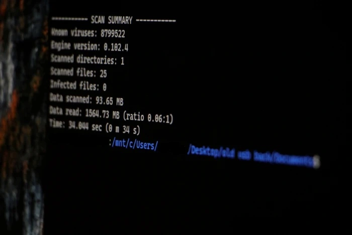 Completed virus scan terminal output.